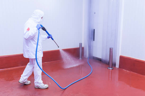 Best Boat and Dock Cleaning  in Riverton, UT